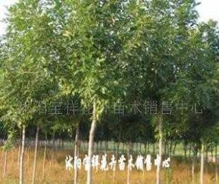 供應電線電纜填充用高檔麻線_紡織、皮革_世界工廠網中國產品信息庫